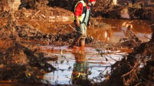 Outcome of Hungary's ecological accident