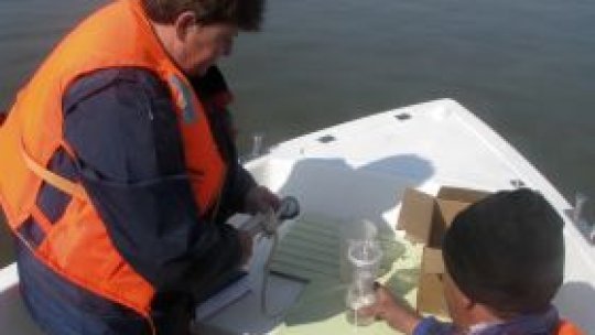 Apele Dunării, în parametri normali