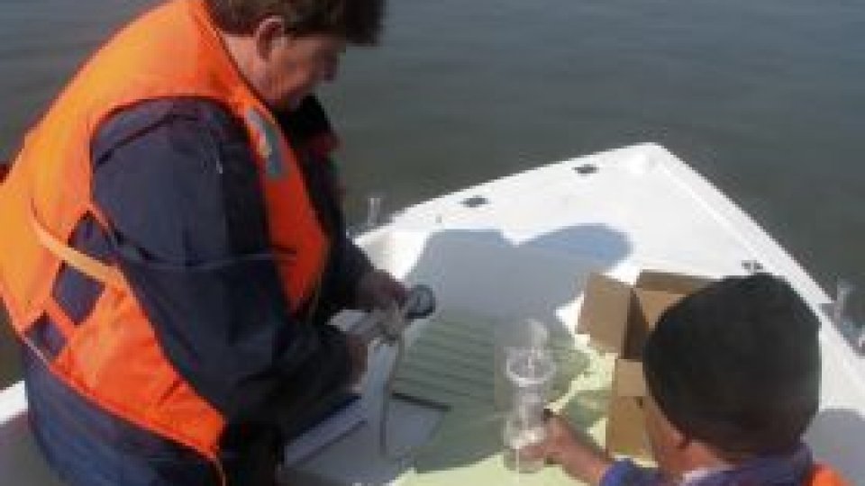 Apele Dunării, în parametri normali