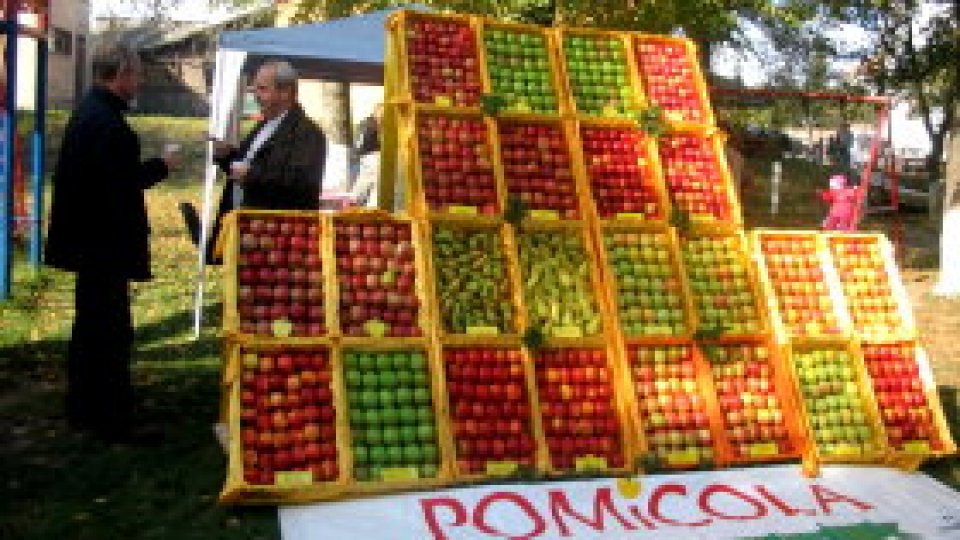 "Drumul mărului" în Mureş