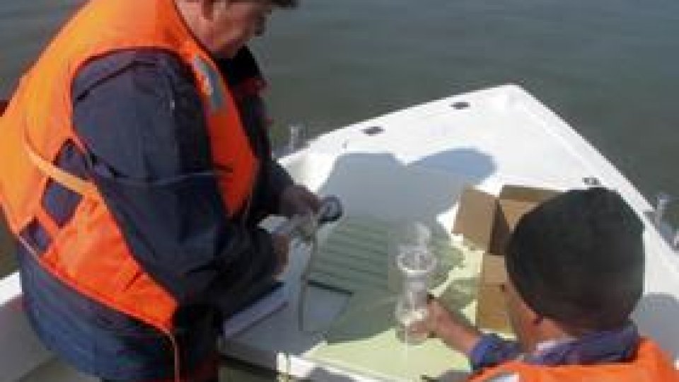 Analizele chimice ale apei Dunării, "în limite normale"