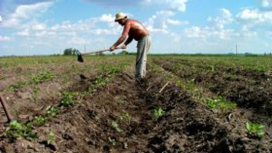 Agricultuă "de semi-subsistenţă" în România