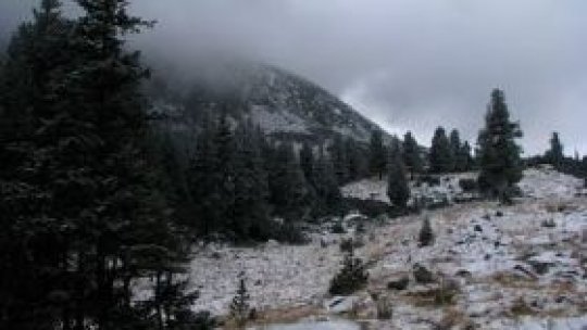 Zăpadă în munţii Rodnei şi masivul Călimanilor