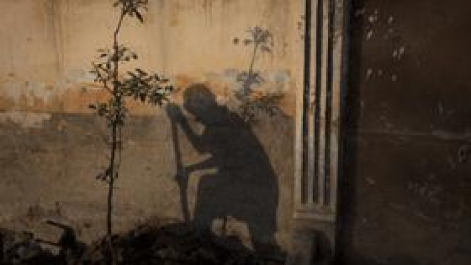 China reduce exporturile de pământuri rare