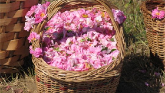 "Flori de toamnă" la Brăila