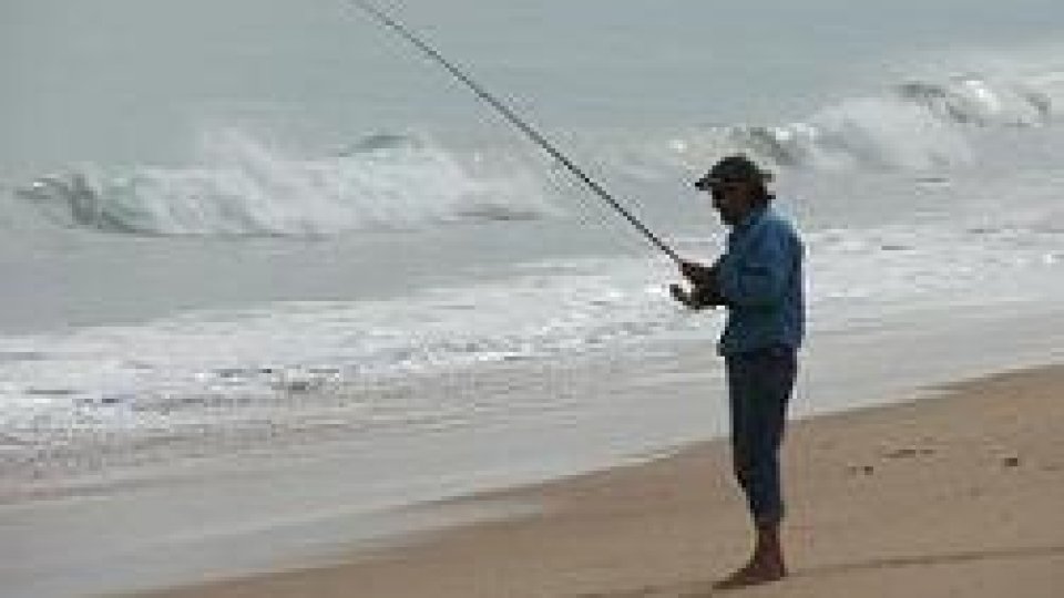 Bursă de peşte la Tulcea