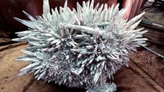 Flori de mina la muzeu