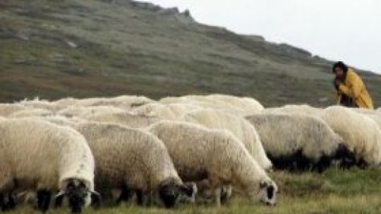 Tradiţiile, în pericol