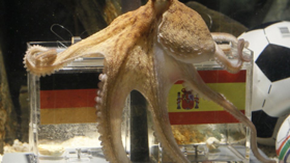 Caracatiţa Paul a încetat din viaţă