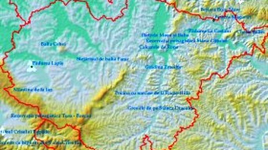 Din mlaştină, rezervaţie naturală protejată