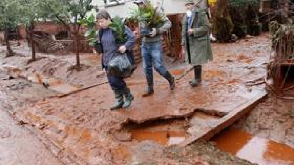 Dezastrul ecologic din Ungaria, catastrofă "doar pe plan local"