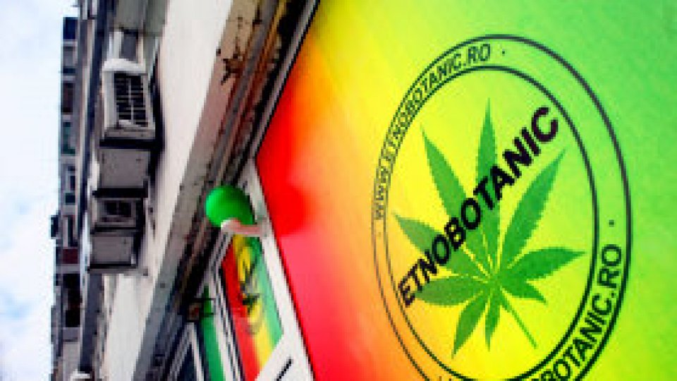 Etnobotanicele îi bagă în spital