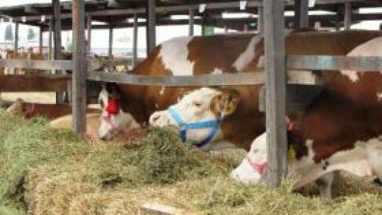 Târgul Idagra şi-a închis porţile