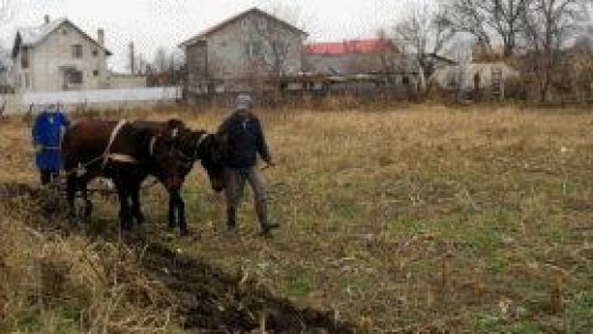 După inundații. Neamț.