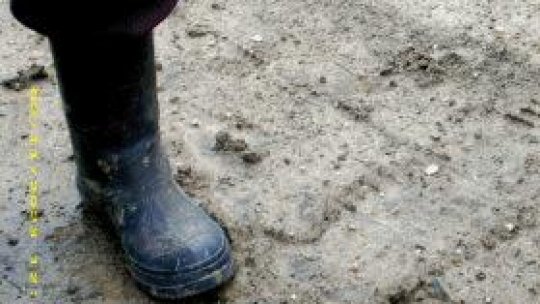 După inundații. Bacău.