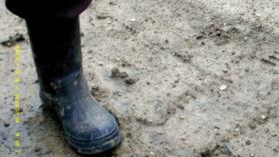 După inundații. Bacău.