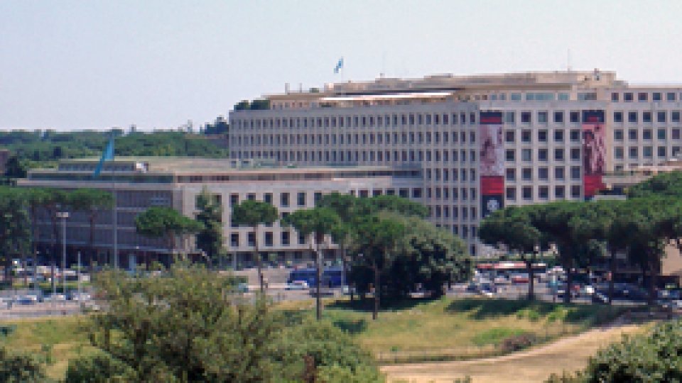 MAE şi FAO au semnat un acord pentru Republica Moldova