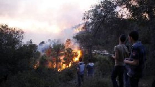 Incendiu devastator în nordul Israelului