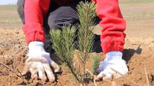 Salariu de 700 de lei, masă şi cazare asigurate