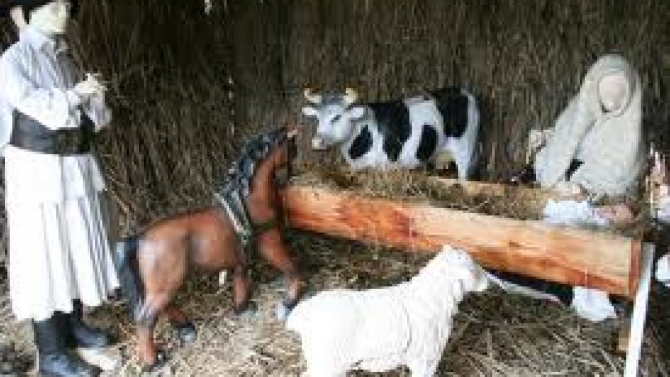 Animale vii recompun scena Nasterii Domnului