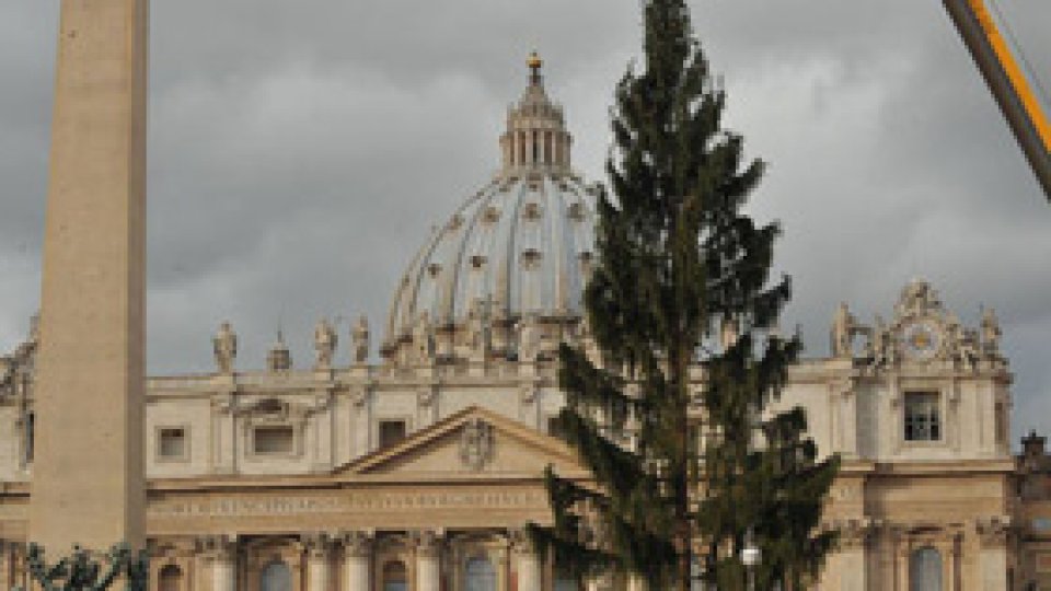 Bradul de Crăciun de la Vatican, adus din nordul Italiei