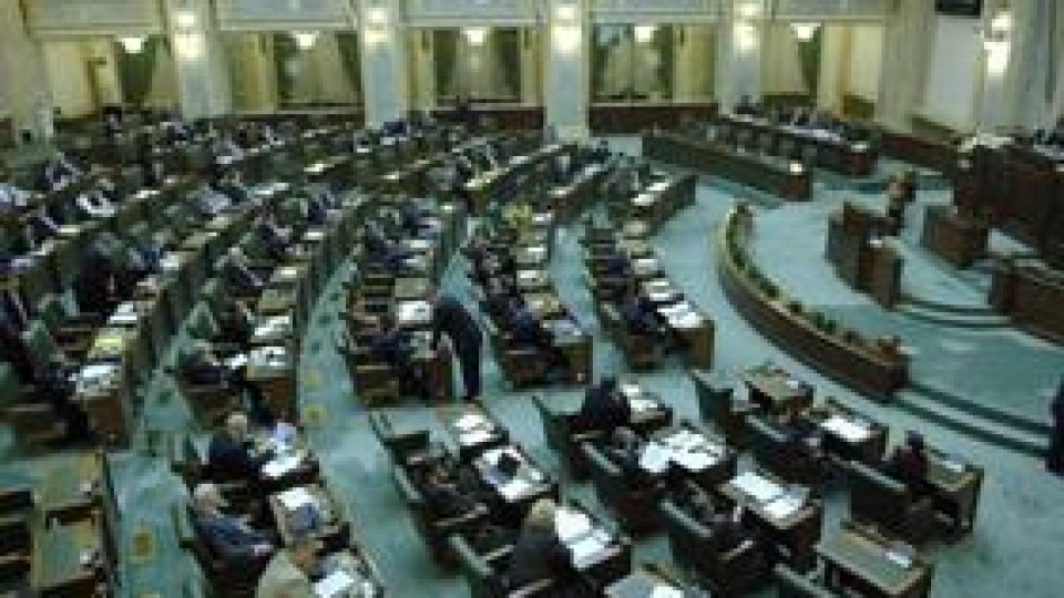 Românii din Serbia de Răsărit, audiaţi la Senat