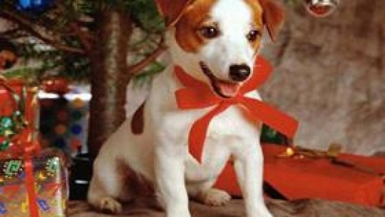 Cadoul - ritual obligatoriu de sărbători