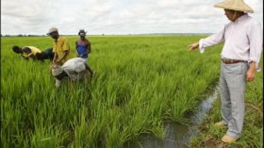 China: fermele mai poluante decât fabricile