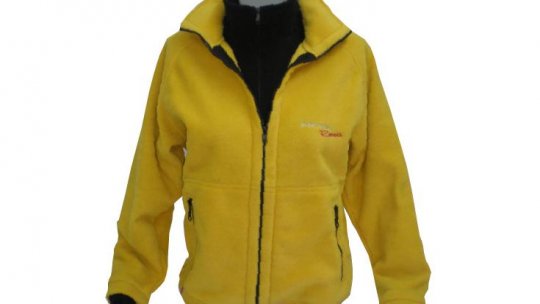 "Polarul" din dicționar