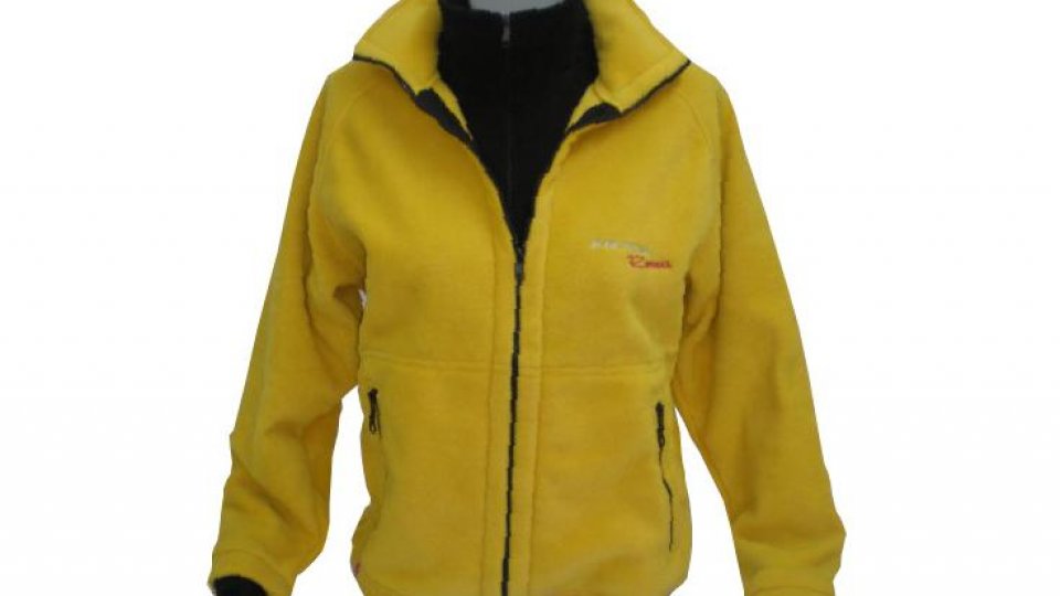 "Polarul" din dicționar