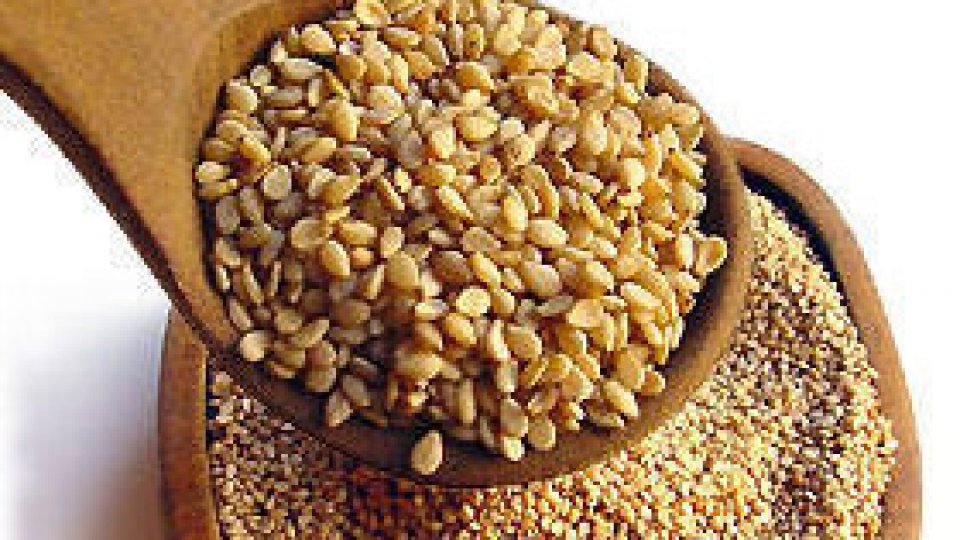 Susanul sau seminţele vieţii