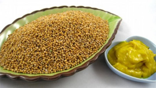 Muştarul sau mustul care arde