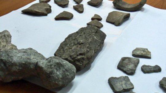 Fosile de dinozaur confiscate la Hunedoara