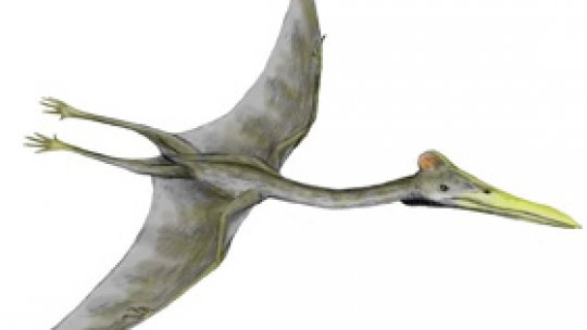 Geoparcul Dinozaurilor, atracţie turistică în Haţeg