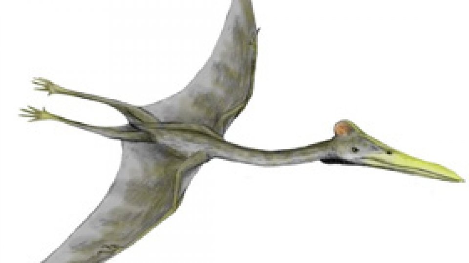 Geoparcul Dinozaurilor, atracţie turistică în Haţeg