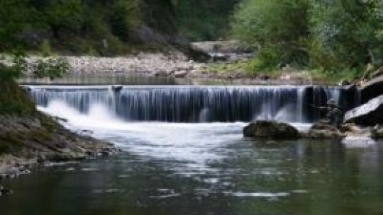 Pod "lucrat" de hoţi