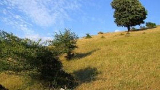 Centru de Informare Turistică în Munţii Măcinului