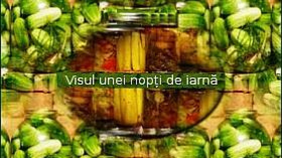 Visul unei nopţi de iarnă