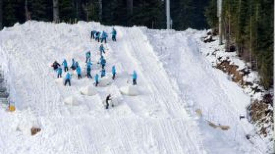 România la Jocurile Olimpice de la Vancouver