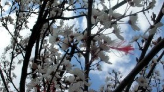 Vine primăvara! Primul semn, Mărţişorul