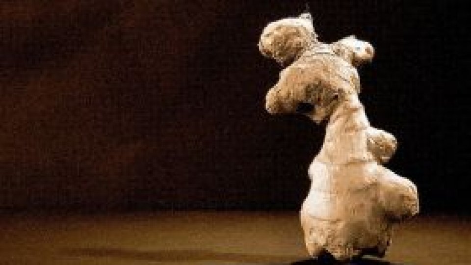 Leacul din natură: Ghimbirul