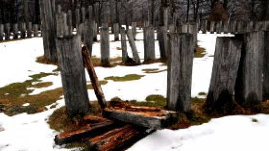 Vandalizări la Sarmizegetusa Regia