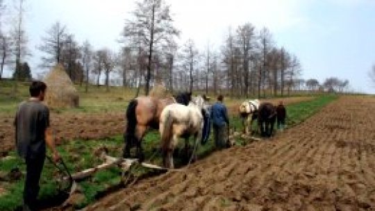 Martie în Bărăgan