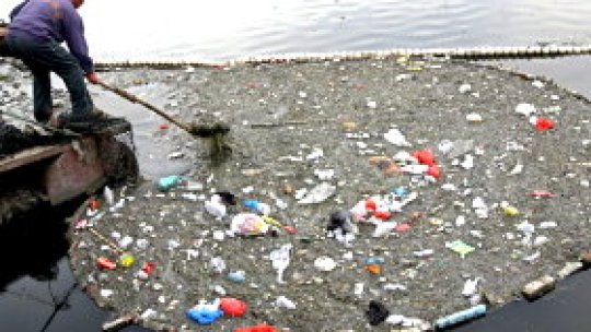 Mizerie la malul Dunării