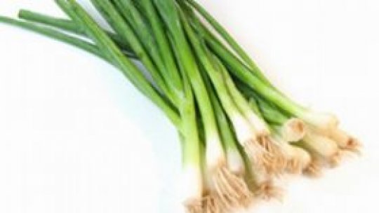 Ceapa - sau începutul tămăduirii