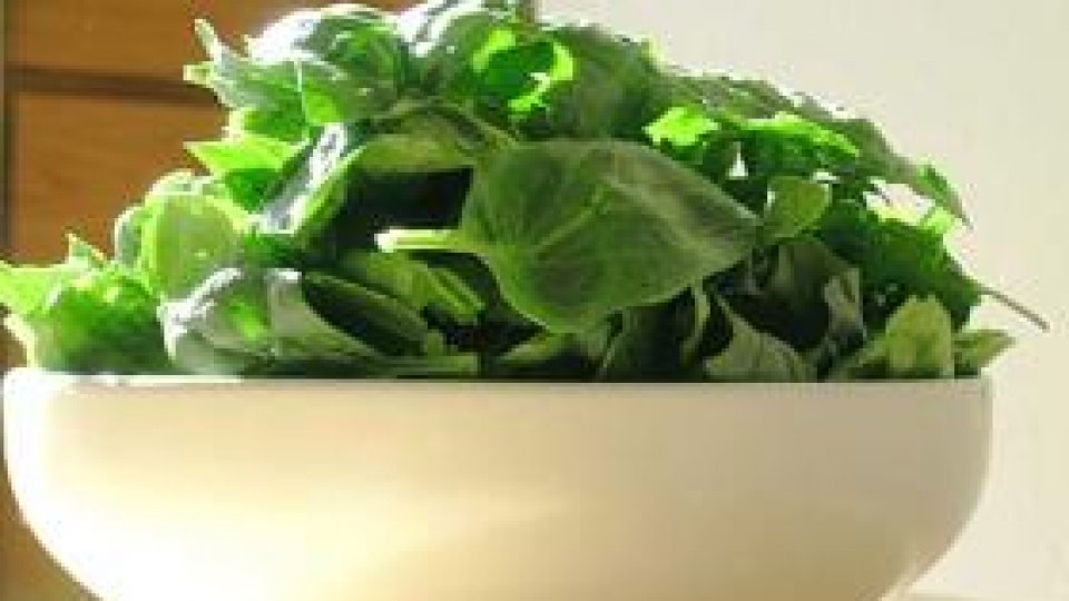 Spanacul - viaţa în stare pură