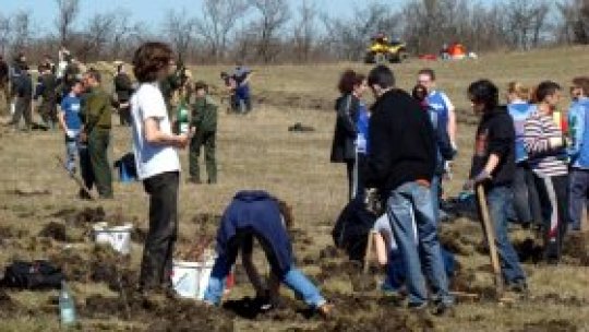 Încep plantările de primăvară