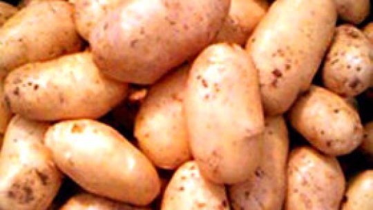 Cartoful modificat genetic, motiv de discordie în Italia