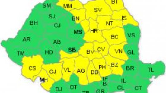 Cod galben de ninsori