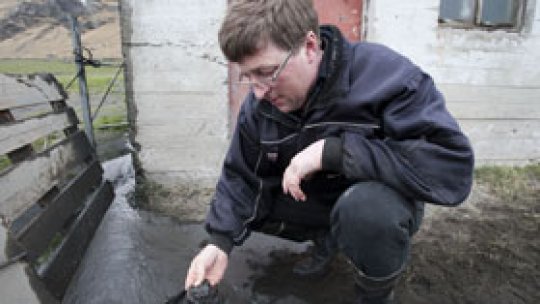 Cenuşa vulcanică, peste Islanda